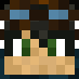 BeesMaster